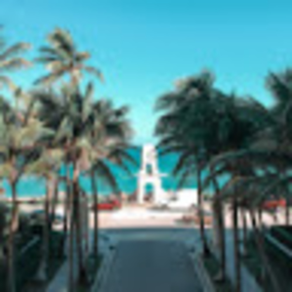 Meet your Posher, Elly